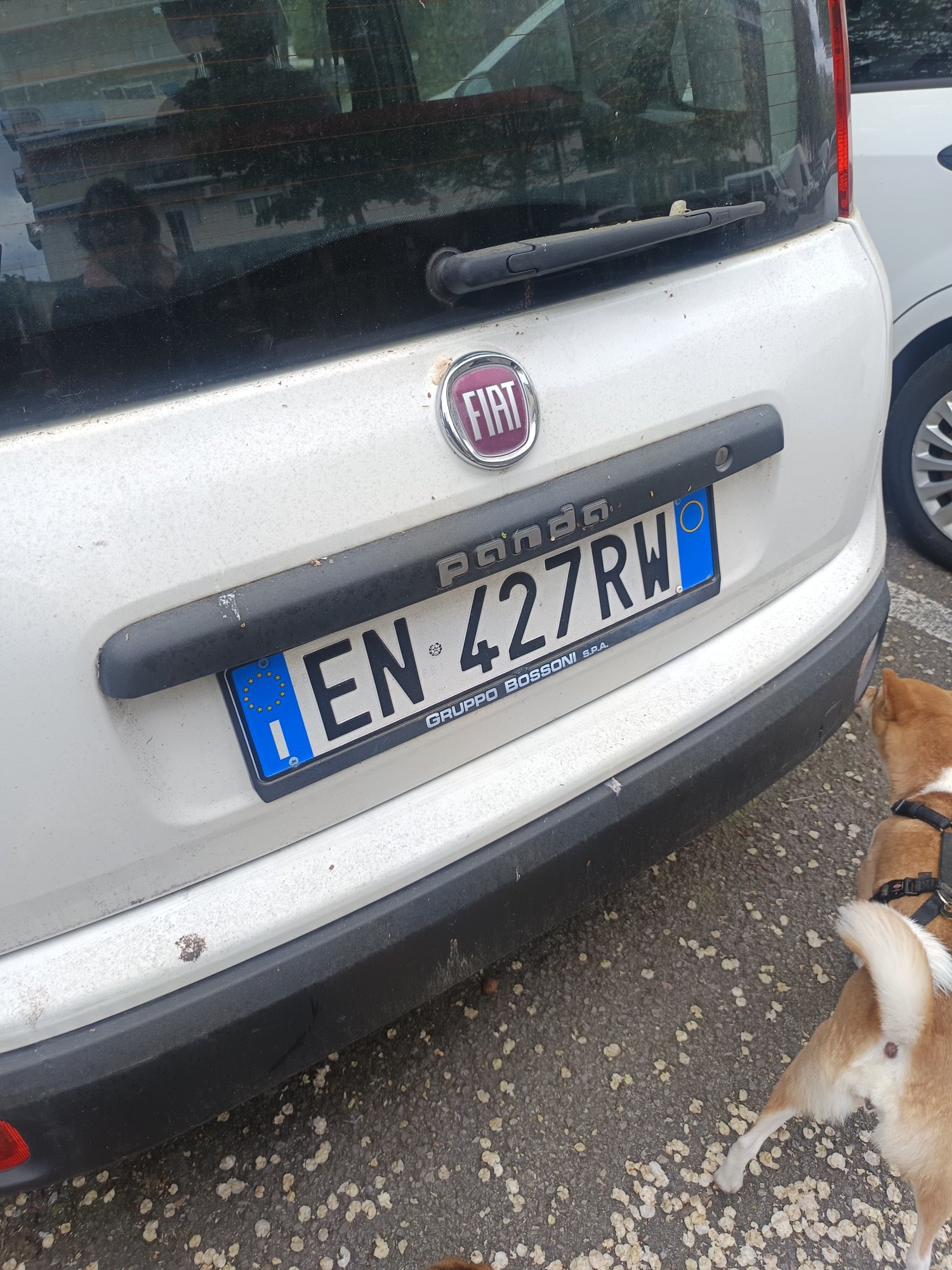 Numer rejestracyjny EN427RW posiada FIAT Panda 3a serie