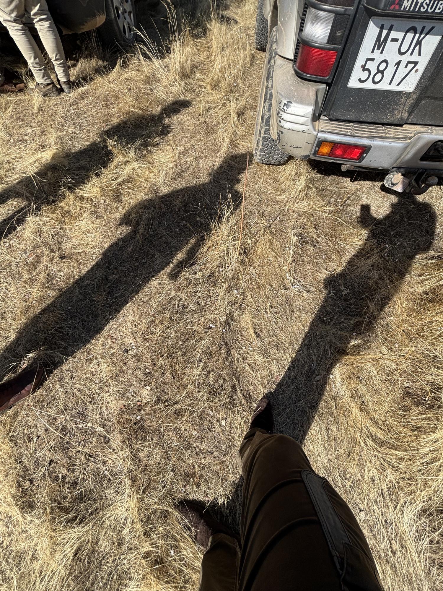 Numer rejestracyjny MOK5817 posiada Mitsubishi 