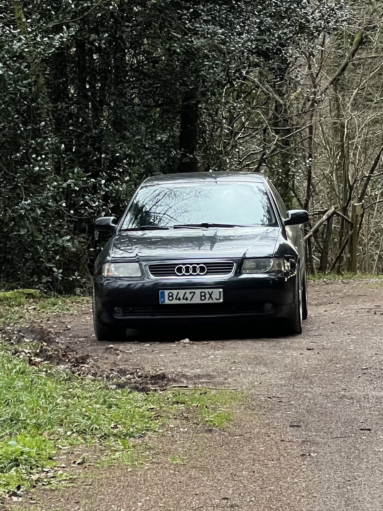 Numer rejestracyjny 8447BXJ posiada AUDI A3