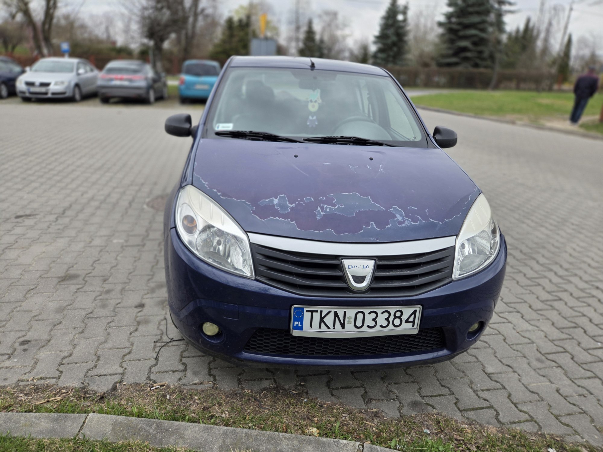 Numer rejestracyjny TKN 03384 posiada DACIA Sandero 1.4 MR`08 E4 SL Arctica - TKN03384