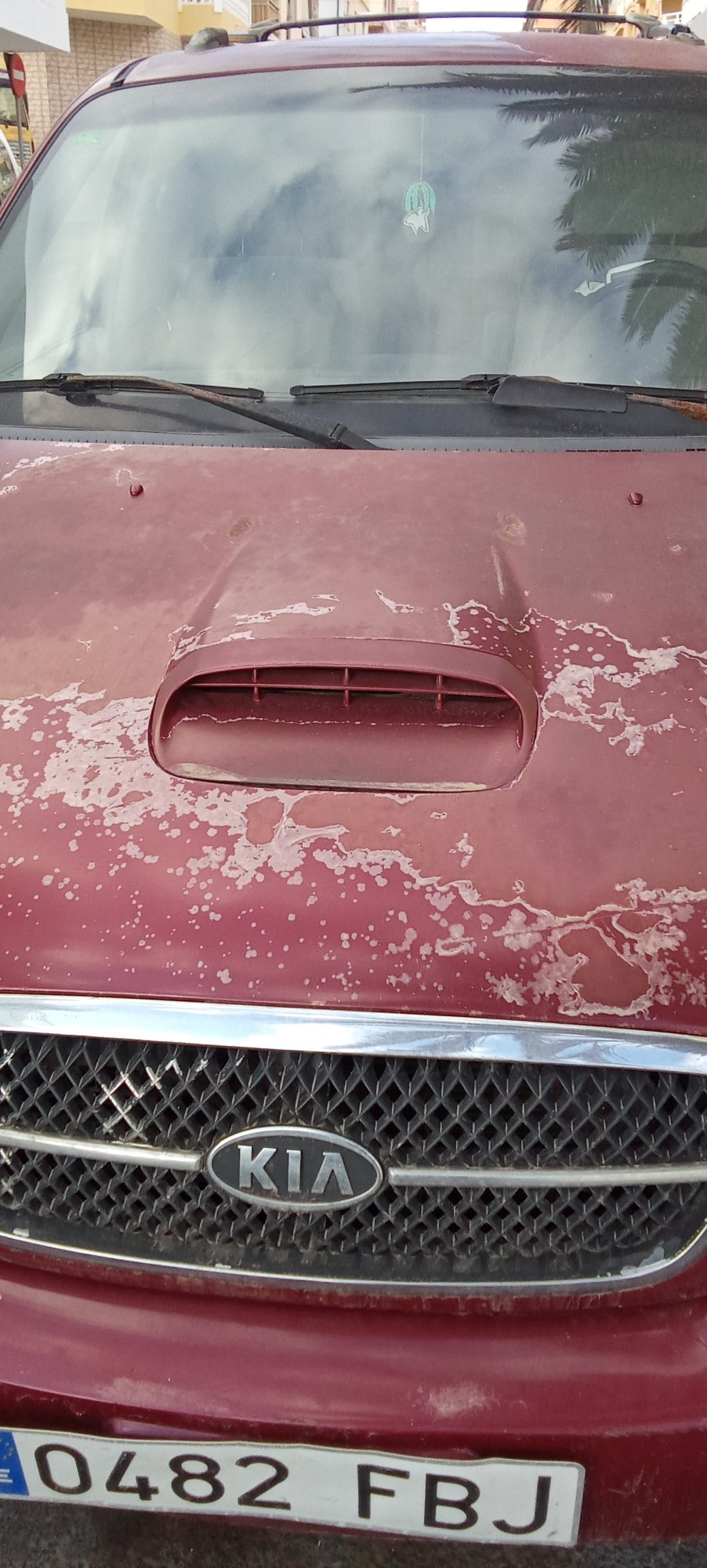 Numer rejestracyjny 0482FBJ posiada KIA CARNIVAL