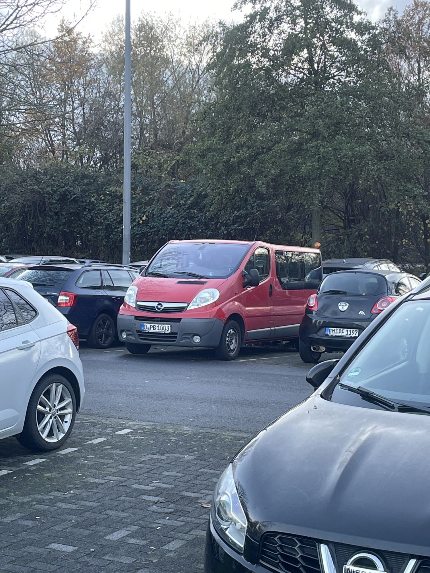 Numer rejestracyjny DPB1003 posiada Opel Vivaro