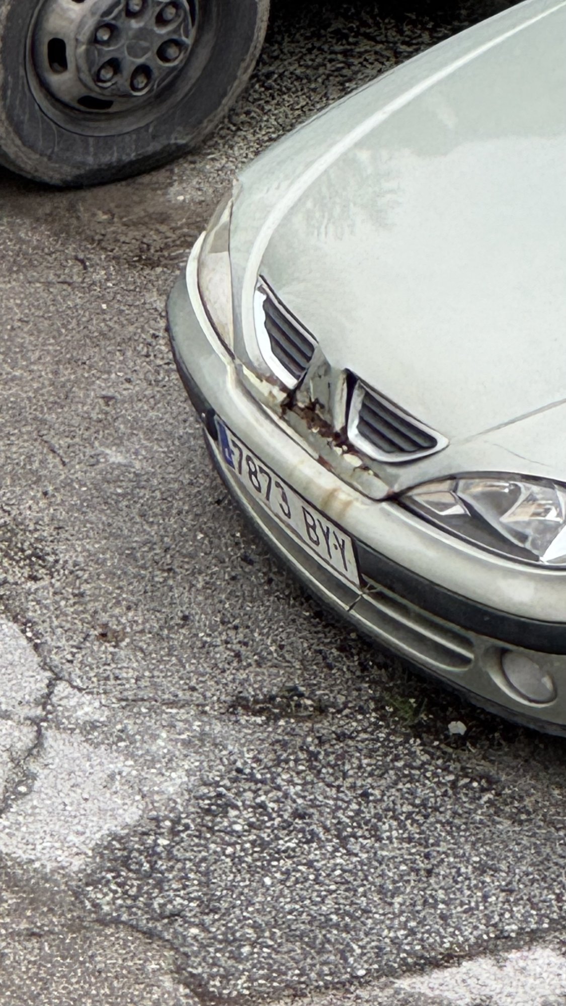 Numer rejestracyjny 7873BYY posiada RENAULT MEGANE AUTHENTIQUE 1.9 DTI