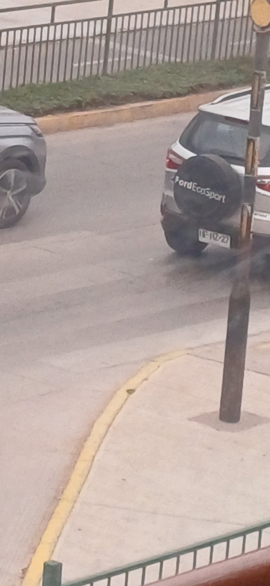 Numer rejestracyjny IE1022 posiada Ford EcoSport