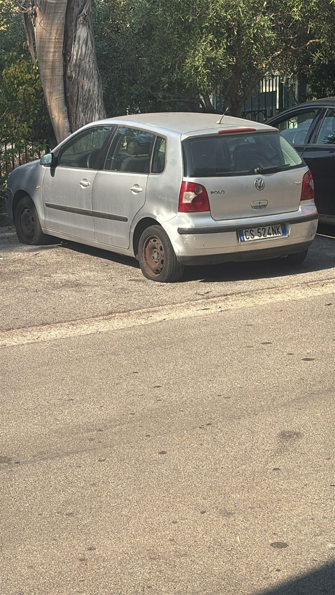 Numer rejestracyjny CS524NK posiada VOLKSWAGEN Polo 4a serie