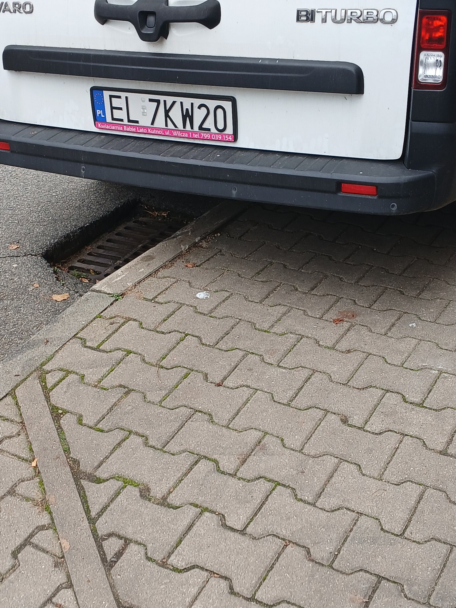 Numer rejestracyjny EL 7KW20 posiada OPEL VIVARO - EL7KW20