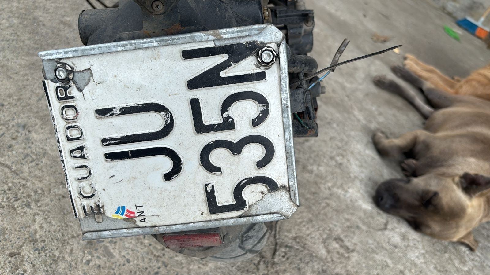 Numer rejestracyjny JU535N posiada  