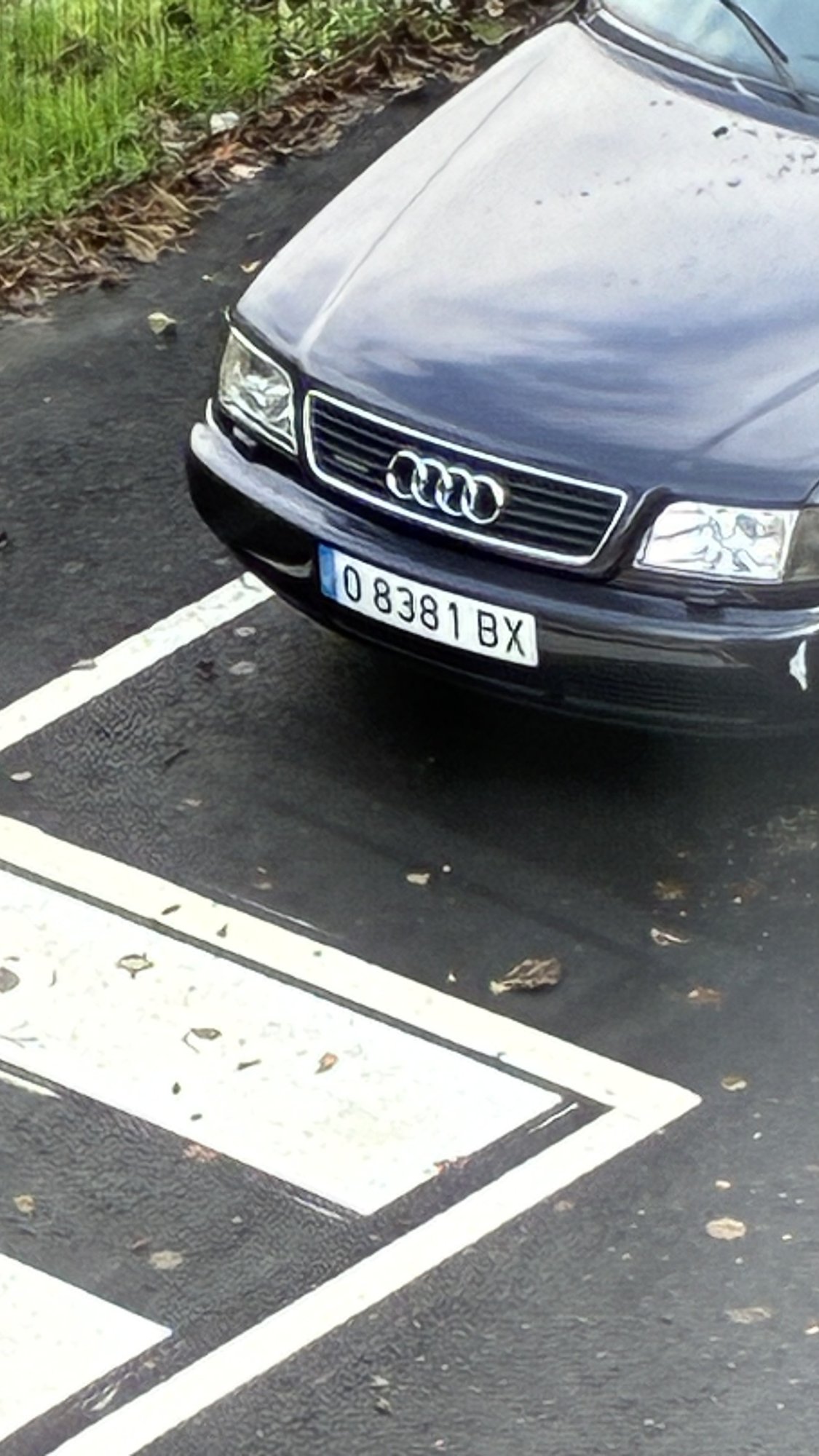 Numer rejestracyjny O8381BX posiada AUDI A6 Numer rejestracyjny O8381BX posiada AUDI A6