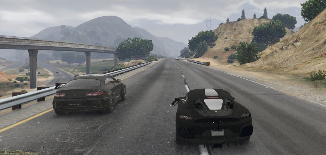 Numer rejestracyjny  posiada  