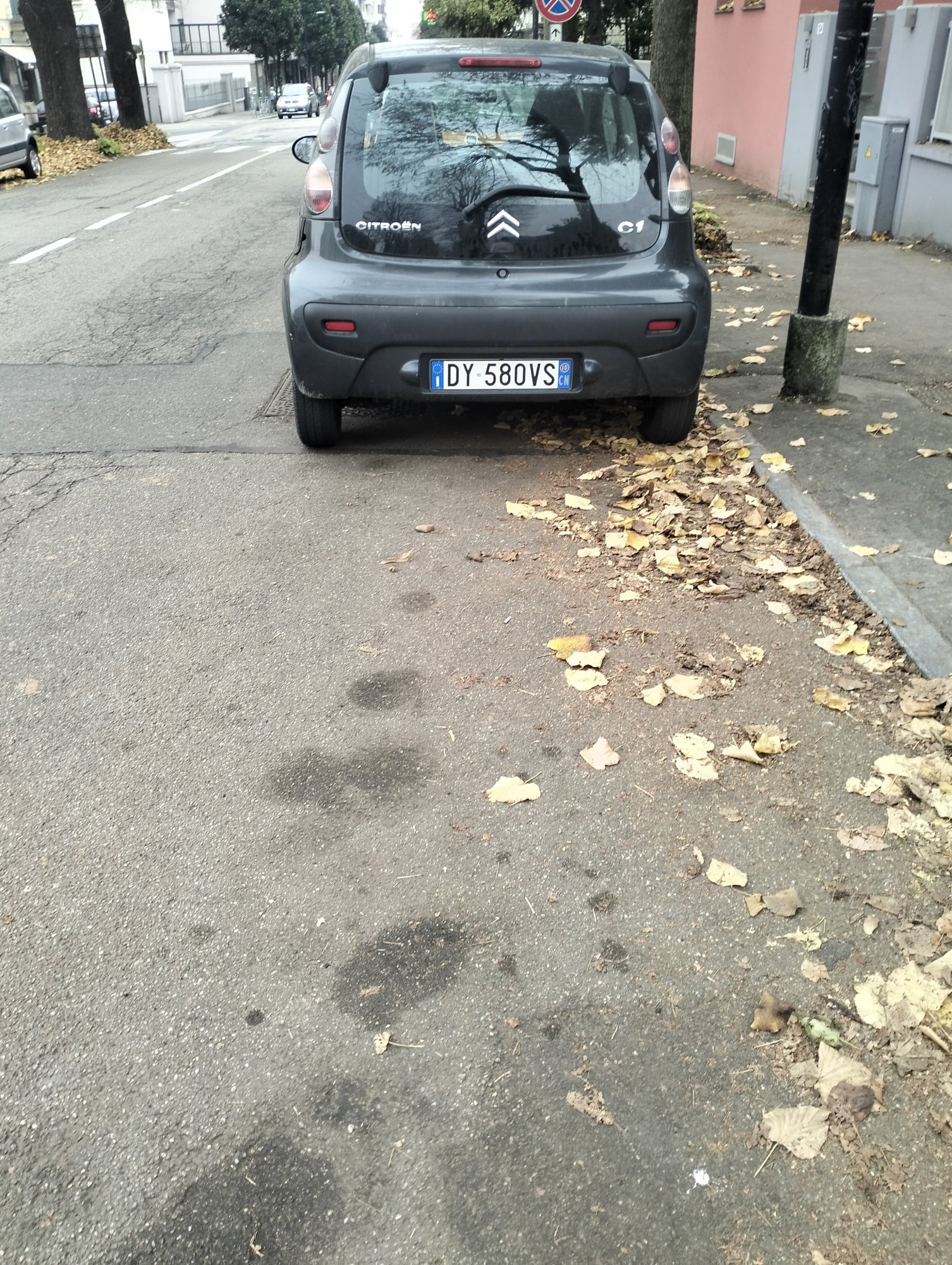 Numer rejestracyjny DY580VS posiada CITROEN C1