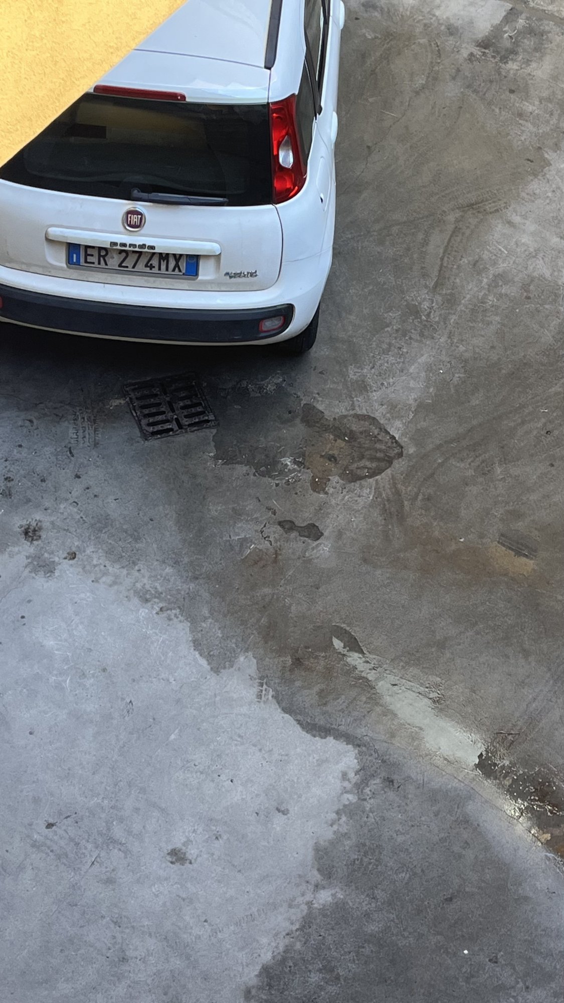 Numer rejestracyjny ER274MX posiada FIAT Panda 3a serie Numer rejestracyjny ER274MX posiada FIAT Panda 3a serie