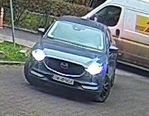 Numer rejestracyjny WW 4630P posiada RENAULT CLIO - WW4630P