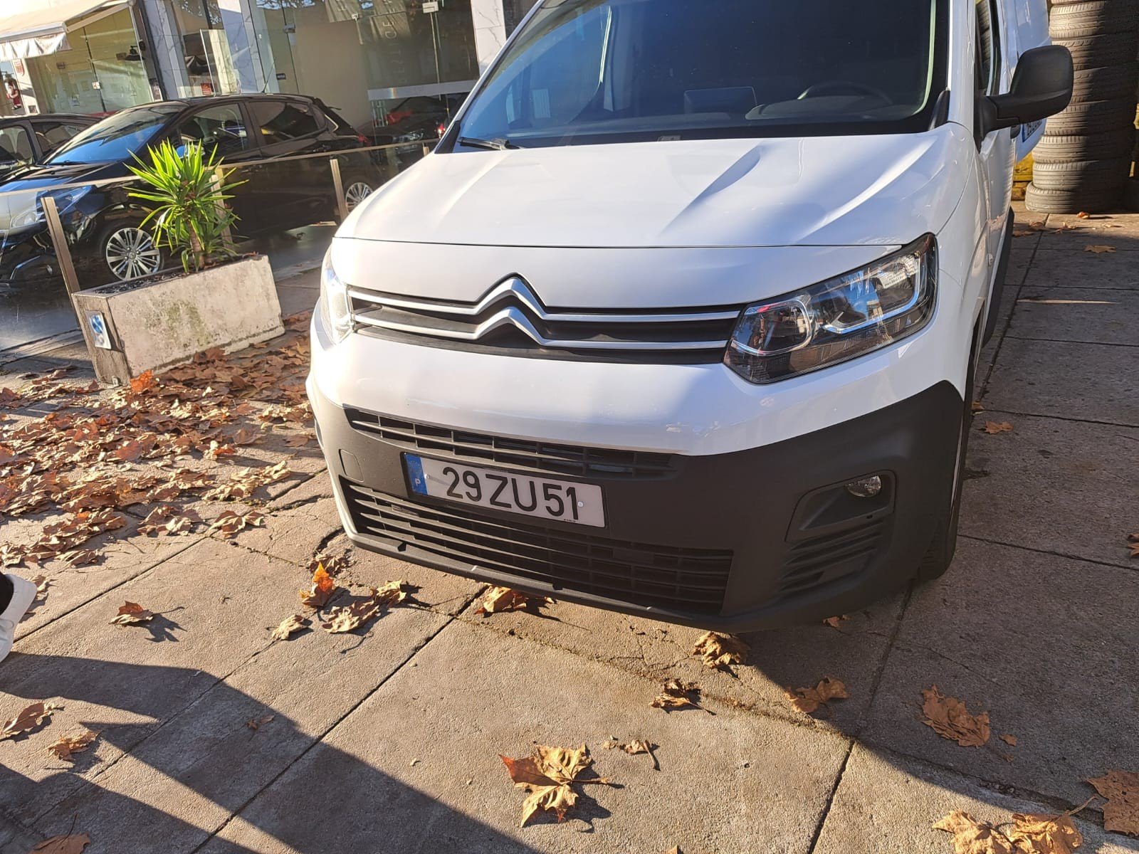 Numer rejestracyjny 29ZU51 posiada Citroën 