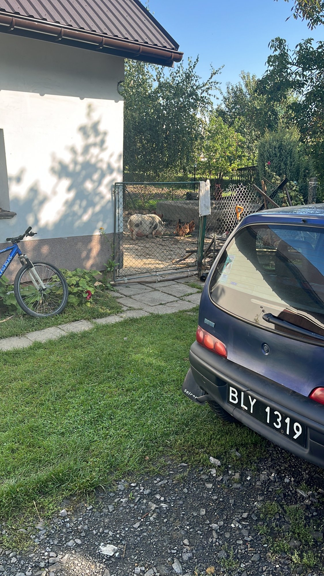 Numer rejestracyjny BLY 1319 posiada FIAT Seicento 0.9 Kat. S - BLY1319 Numer rejestracyjny BLY 1319 posiada FIAT Seicento 0.9 Kat. S - BLY1319