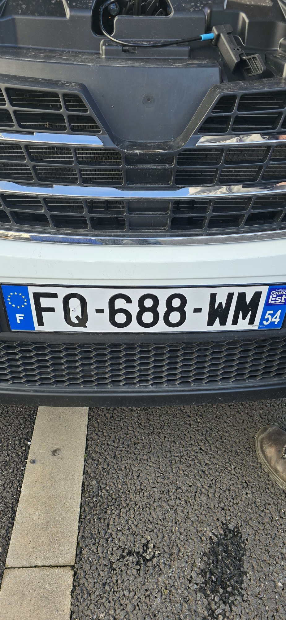 Numer rejestracyjny FQ688WM posiada RENAULT TRAFIC III Numer rejestracyjny FQ688WM posiada RENAULT TRAFIC III