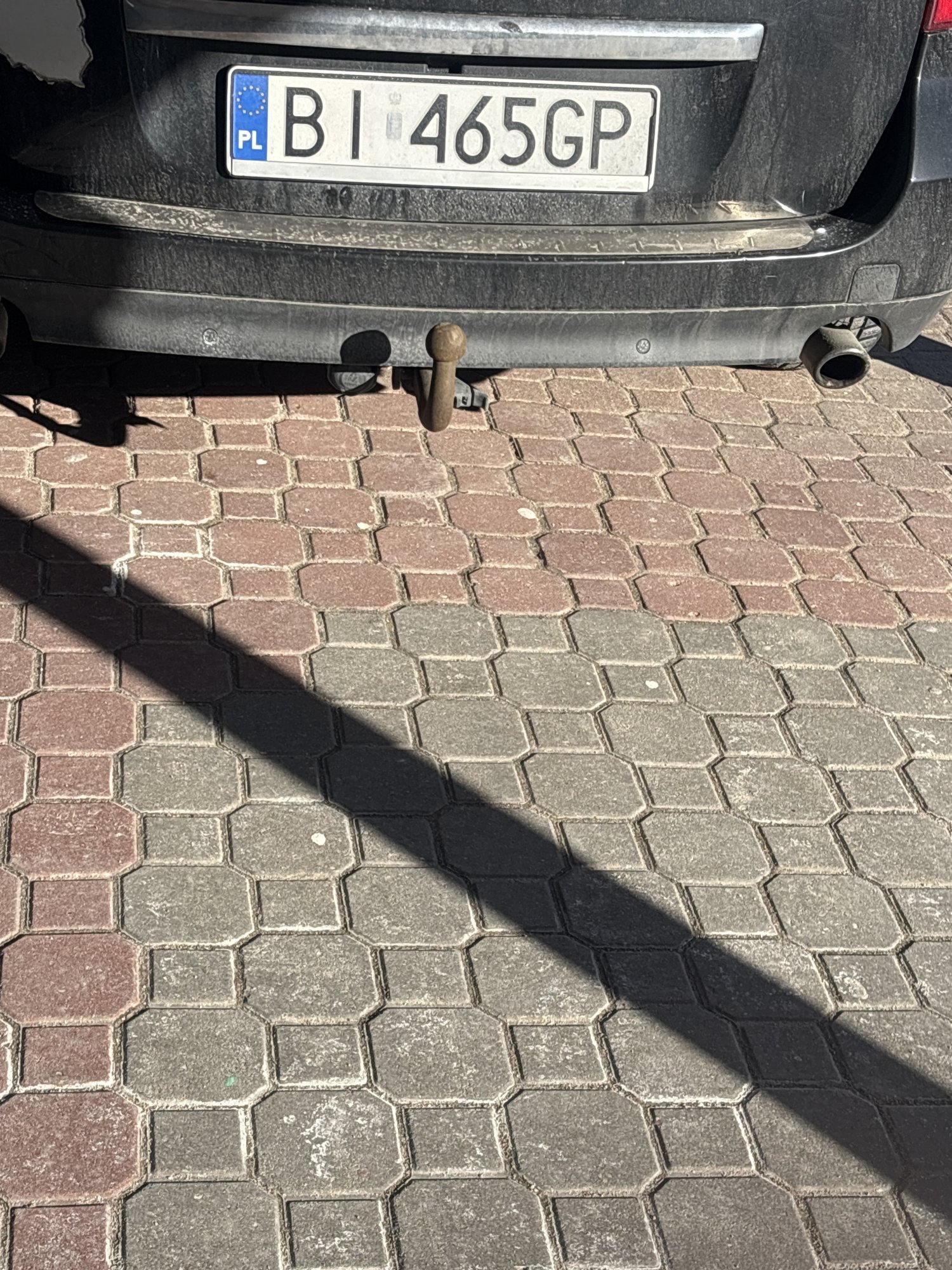 Numer rejestracyjny BI 465GP posiada RENAULT Laguna III Grandtour 2.0 MR`07 E4 Expression 170 Aut. - BI465GP