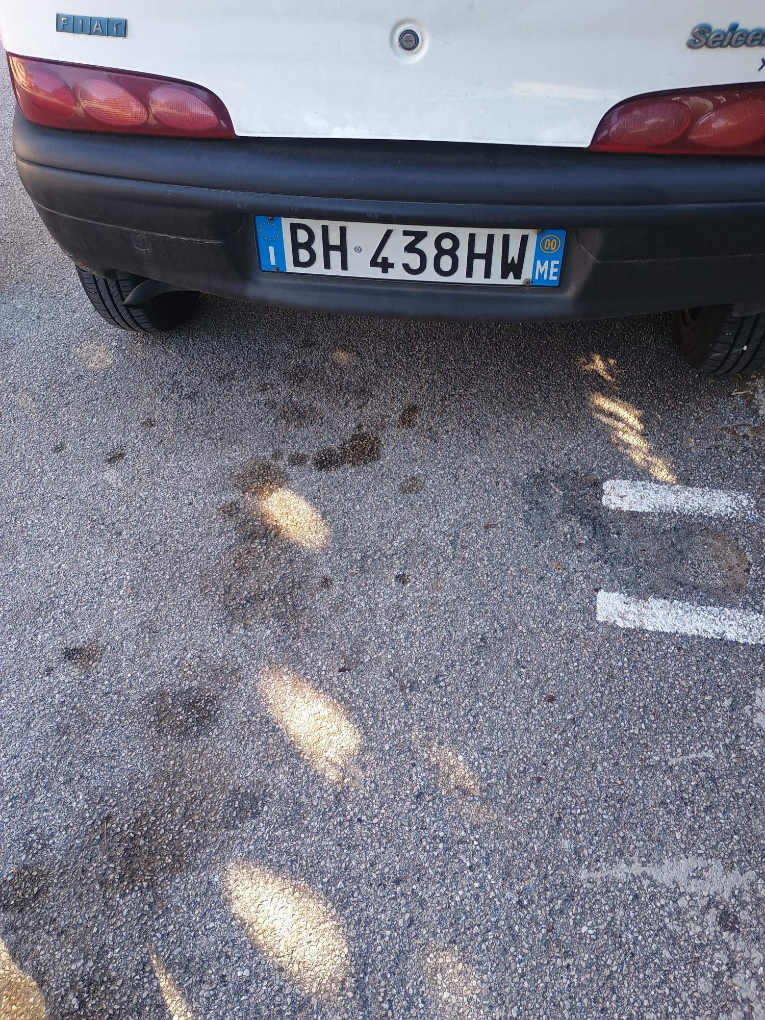 Numer rejestracyjny BH438HW posiada Fiat 