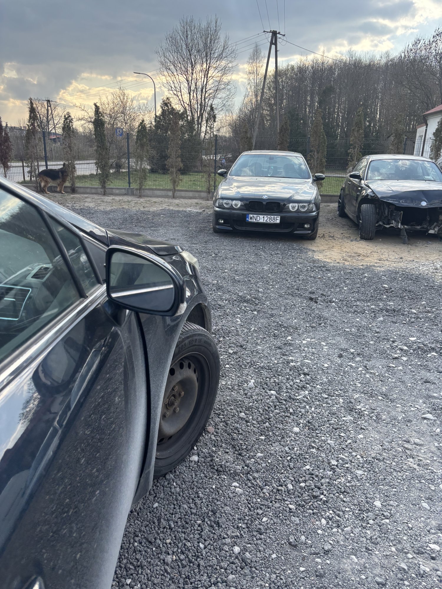 Numer rejestracyjny WND 1288F posiada BMW M 5 4.9 Kat. MR`01 E39 M 5 4.9 Kat. MR`01 E39 - WND1288F