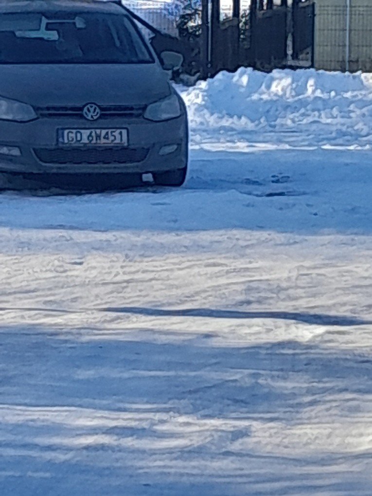 Numer rejestracyjny GD 6N451 posiada TOYOTA PRIUS - GD6N451