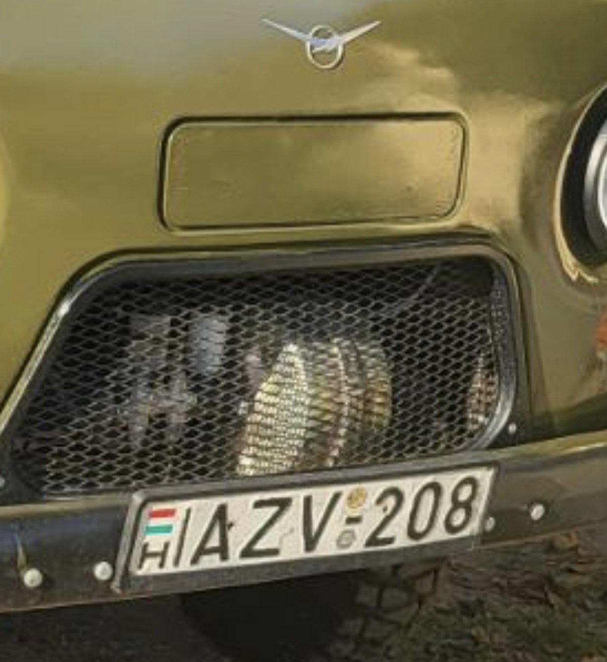 Numer rejestracyjny AZV208 posiada Volvo 