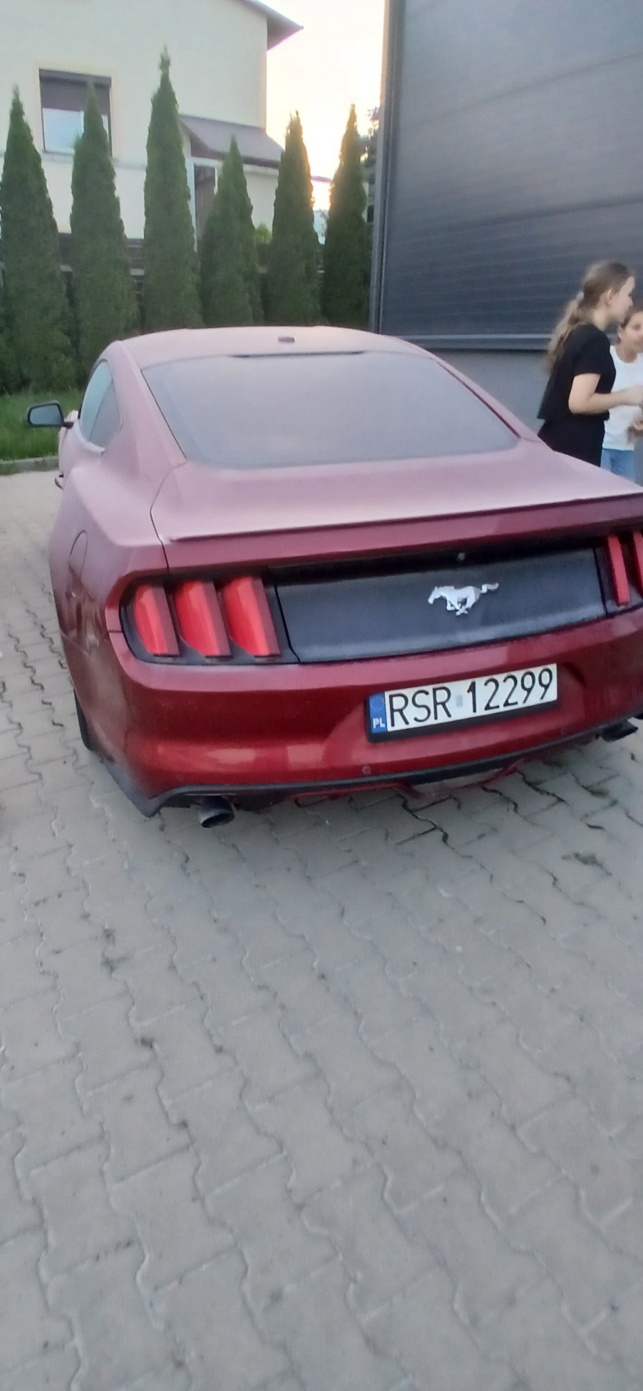 Numer rejestracyjny RSR 12299 posiada FORD Mustang 2.3 EcoBoost MR`15 E6 Mustang 2.3 EcoBoost MR`15 E6 - RSR12299