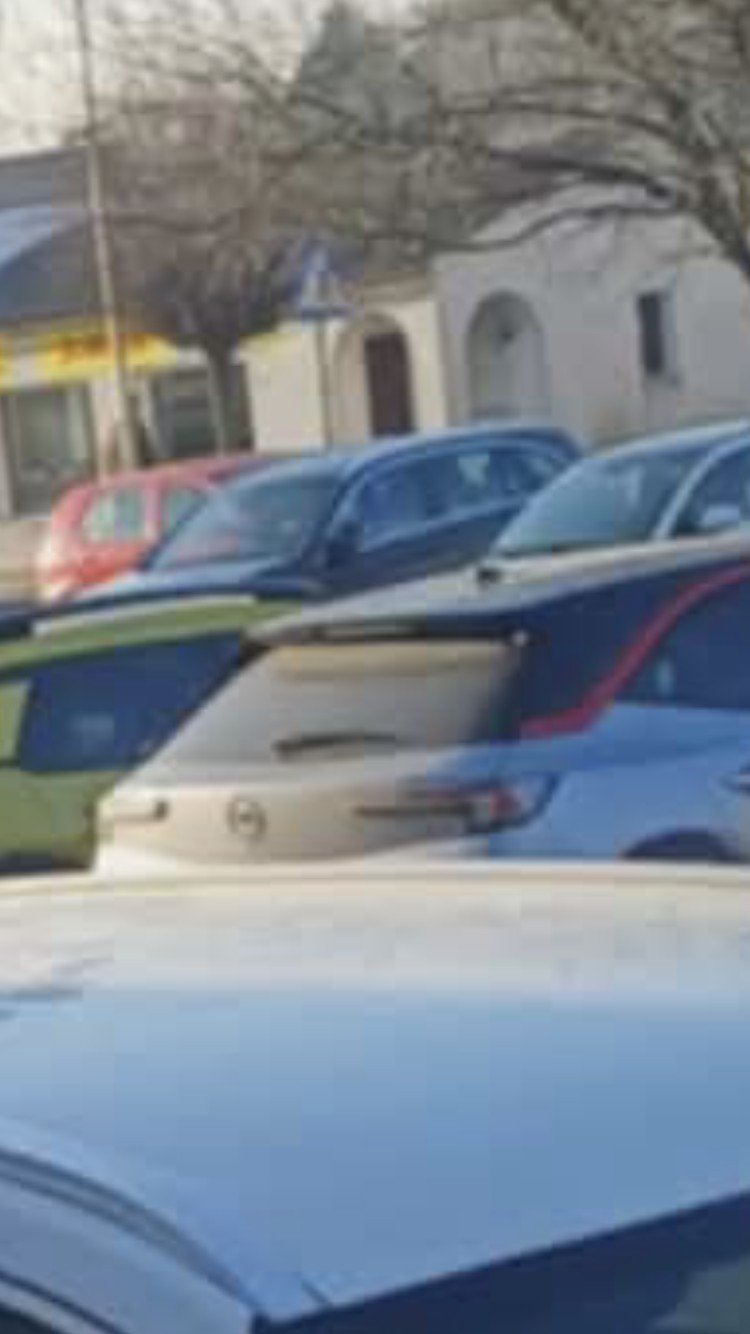 Numer rejestracyjny  posiada  